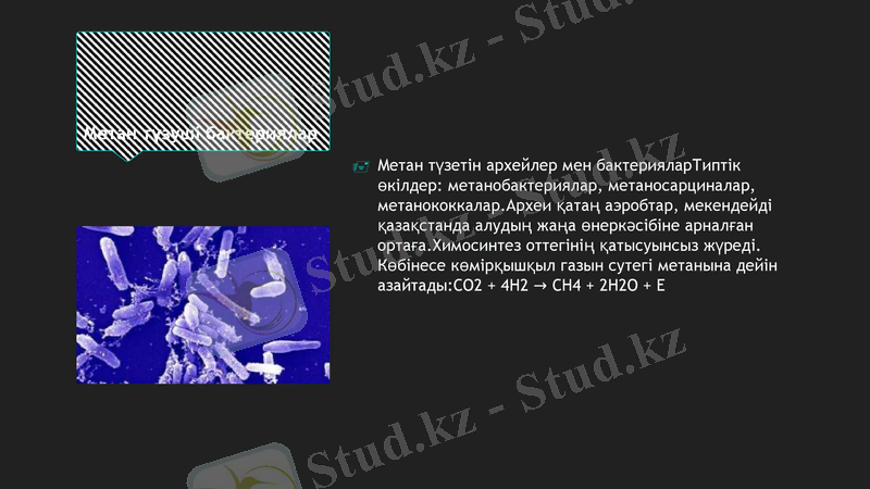 Slide 10