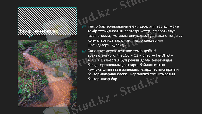 Slide 7