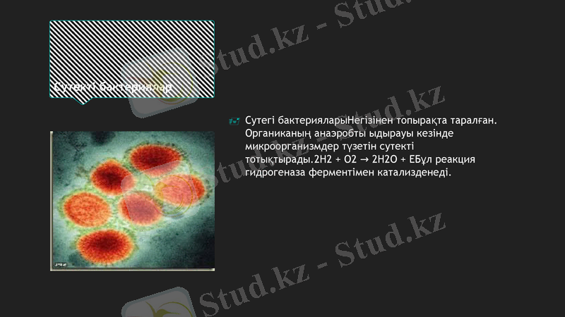 Slide 9