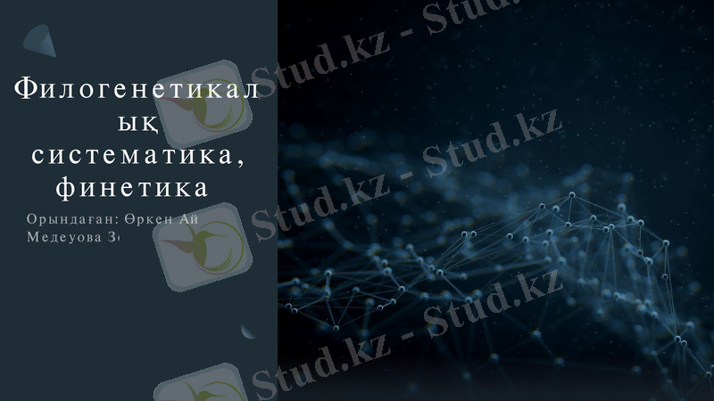 Slide 1