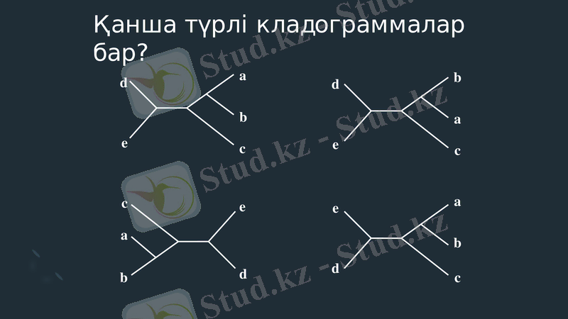Slide 10