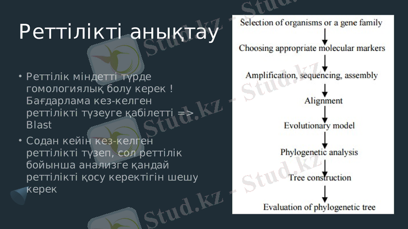 Slide 11