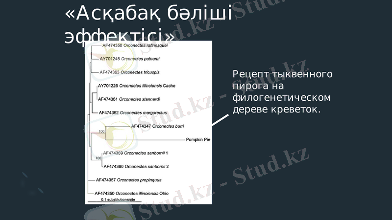 Slide 12