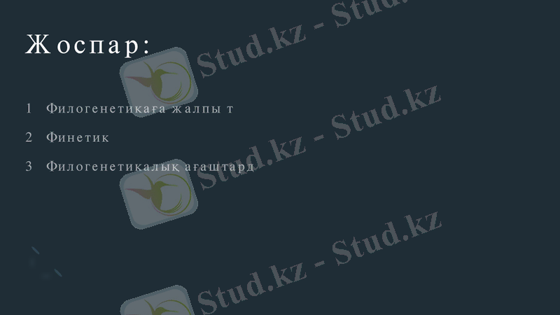 Slide 2