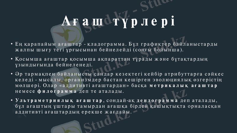 Slide 8
