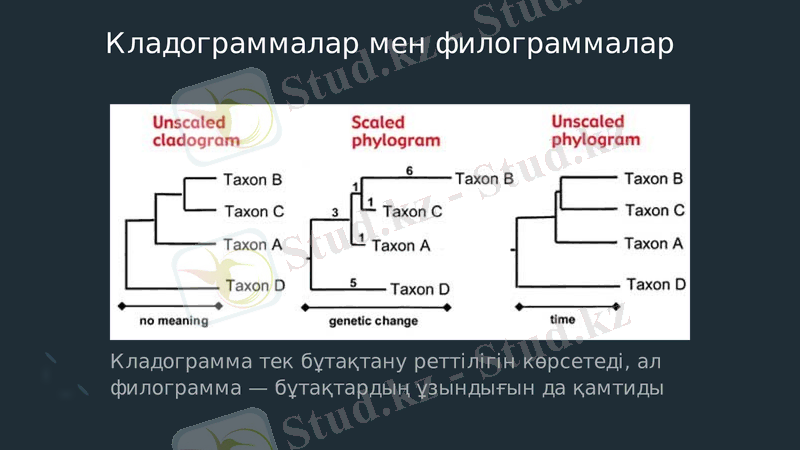 Slide 9