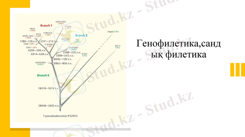 Slide 10