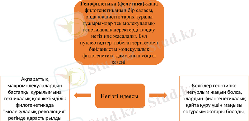 Slide 11