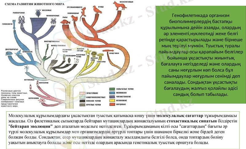 Slide 12
