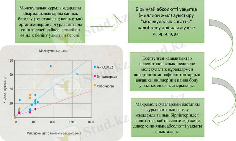 Slide 13