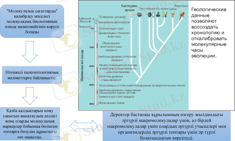 Slide 14