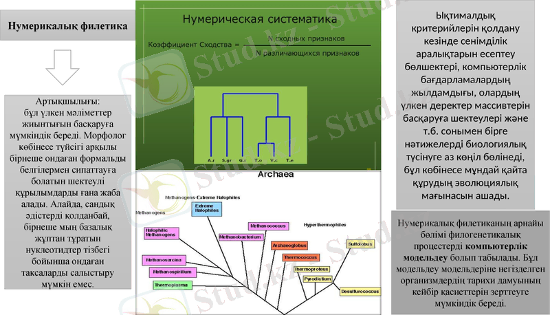 Slide 16