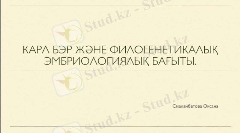 Slide 17