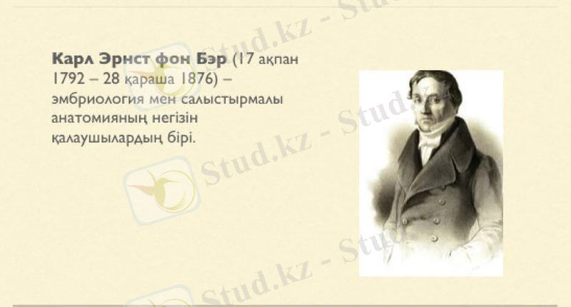 Slide 18