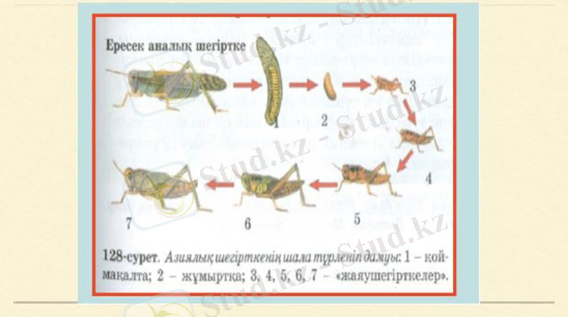 Slide 19