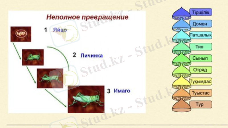 Slide 20