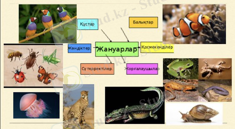 Slide 24