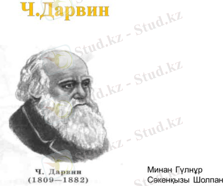 Slide 26