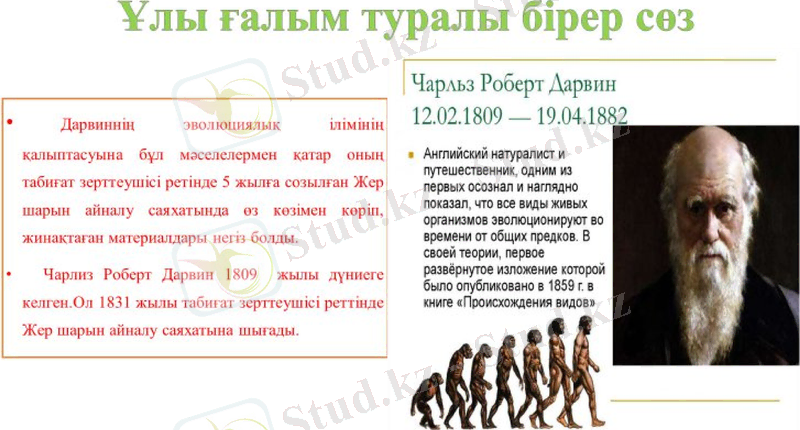 Slide 28