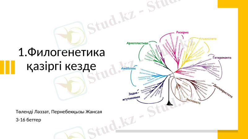 Slide 3