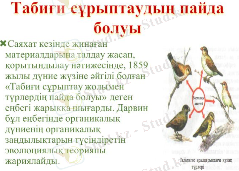 Slide 31