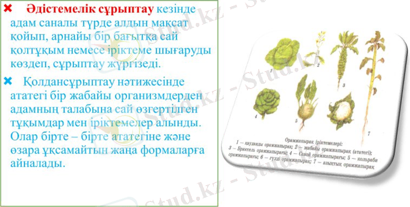 Slide 33