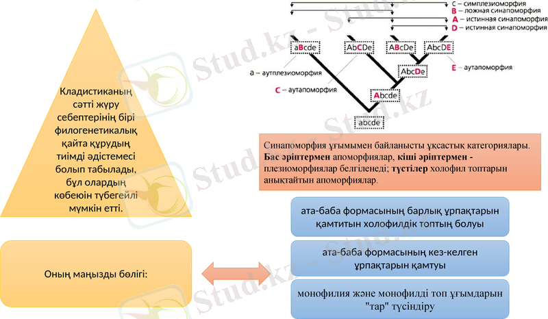 Slide 6