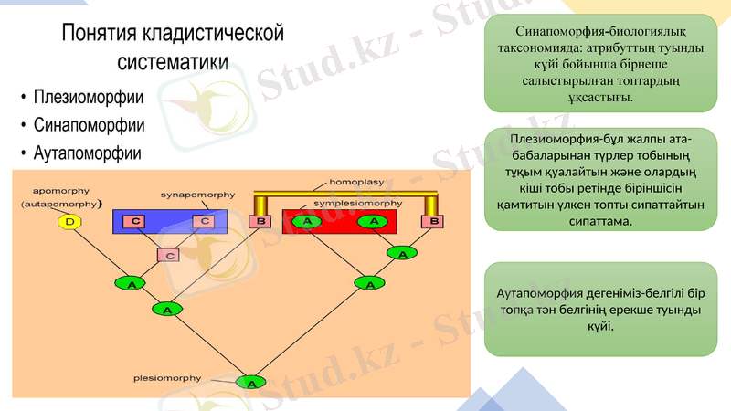 Slide 7