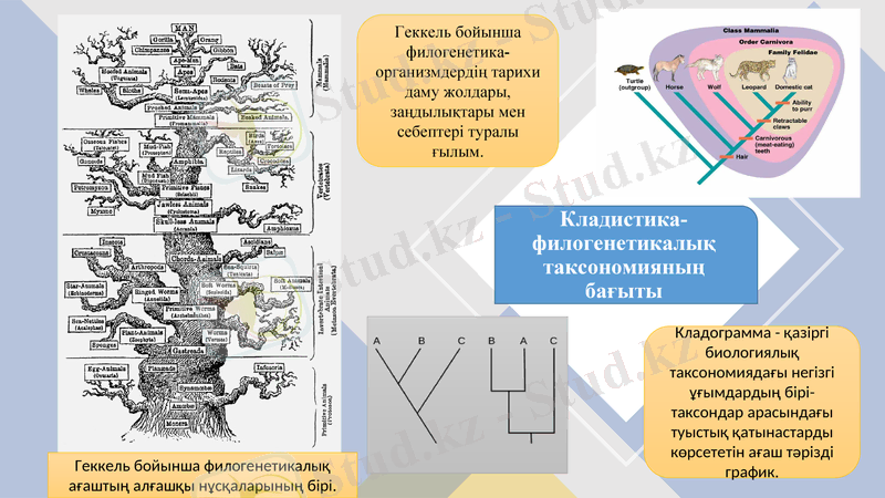 Slide 9