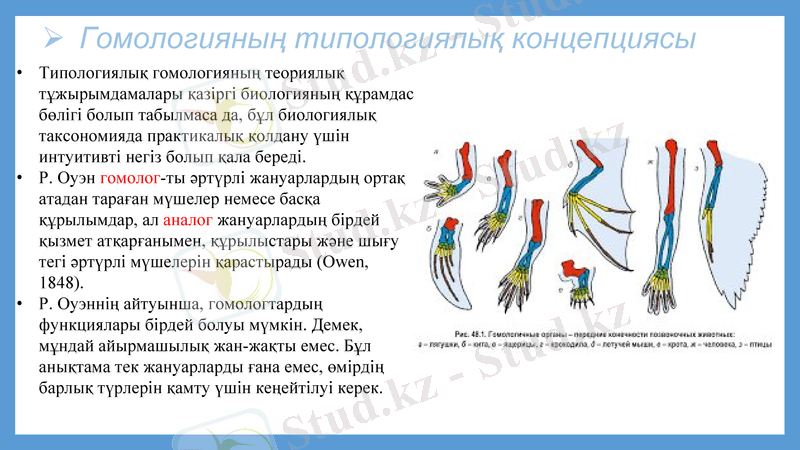 Slide 10