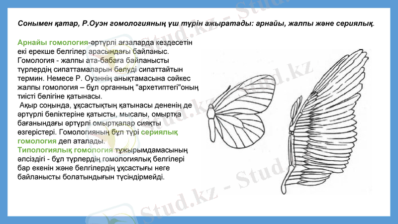 Slide 11