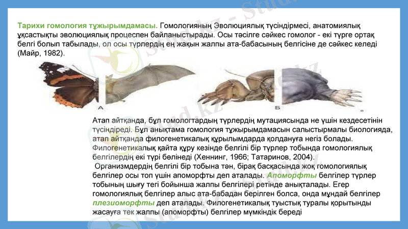 Slide 12