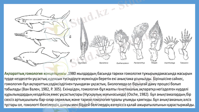 Slide 13