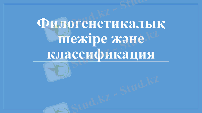 Slide 14