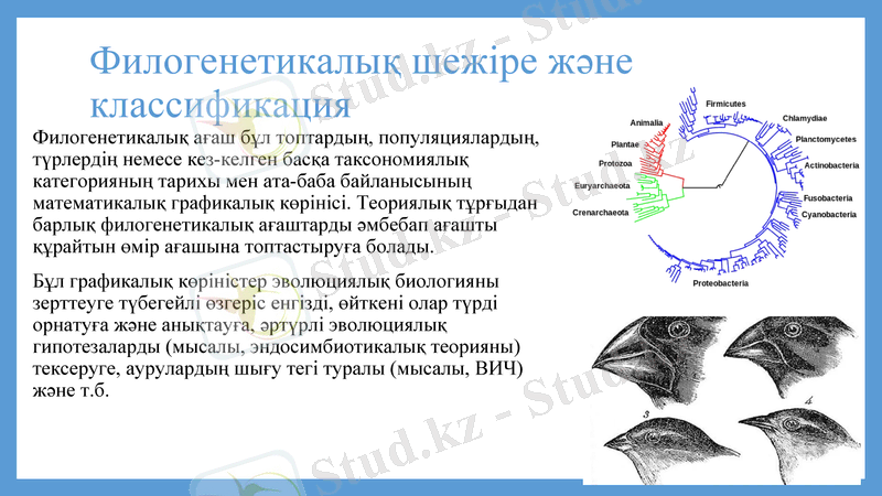 Slide 15