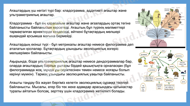 Slide 16