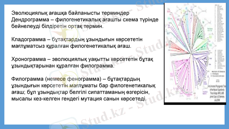 Slide 17