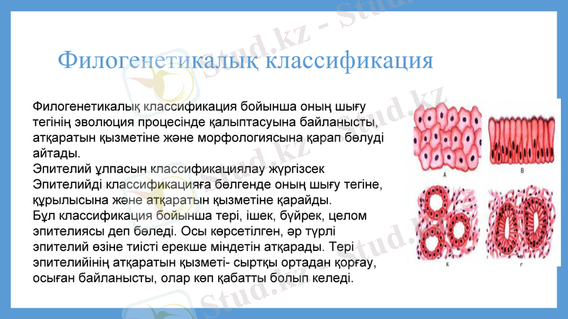 Slide 19