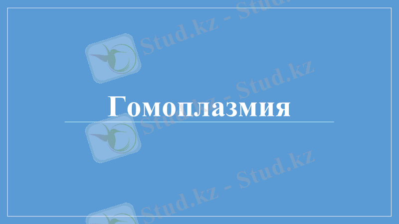 Slide 23