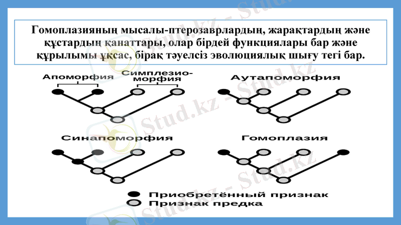 Slide 25