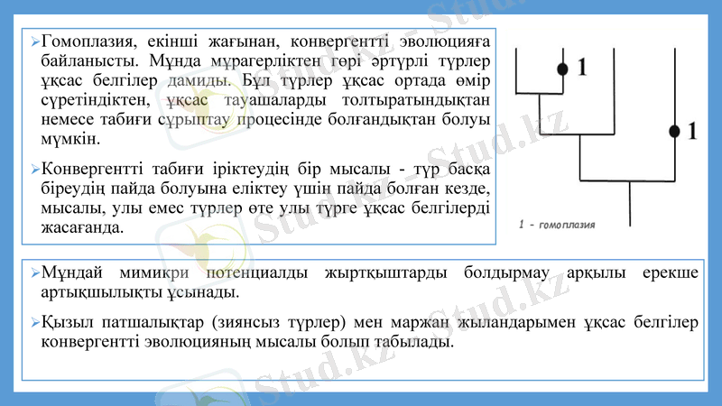 Slide 26