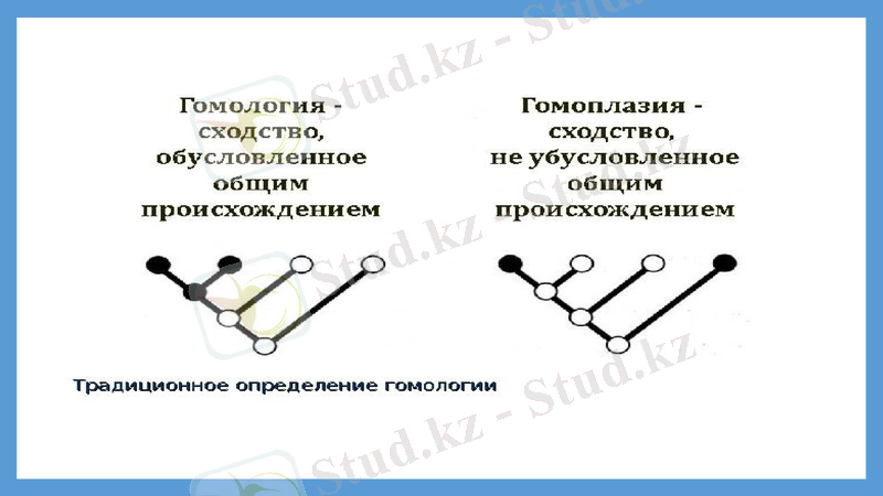 Slide 27