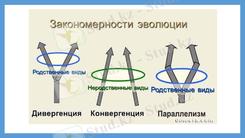 Slide 29