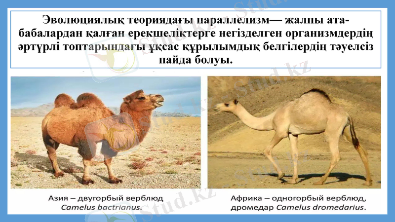 Slide 30