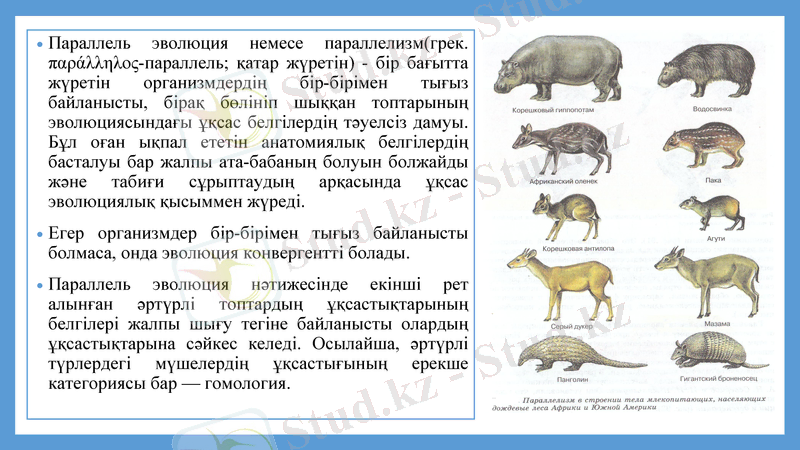 Slide 31
