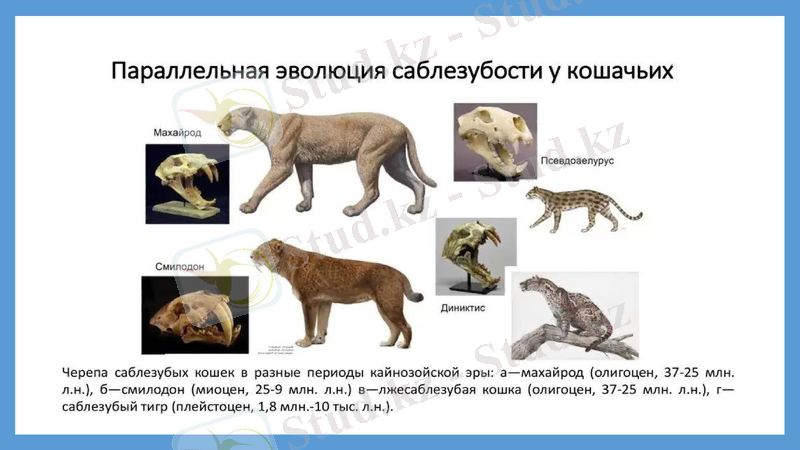 Slide 32
