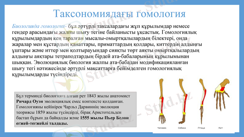 Slide 36