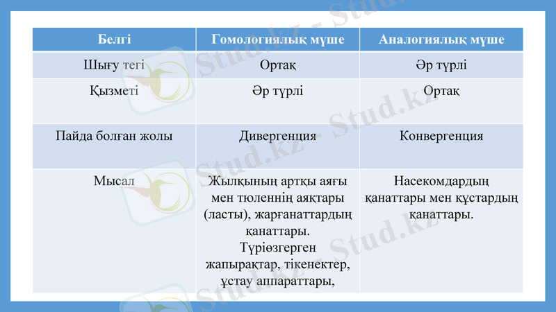 Slide 6