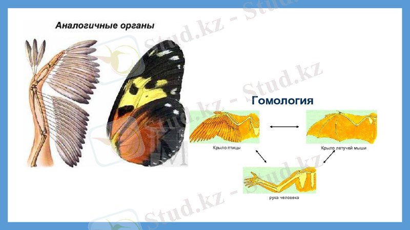 Slide 9