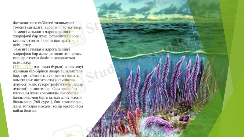 Slide 10